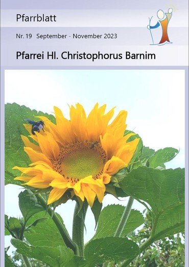 Pfarrblatt 19
